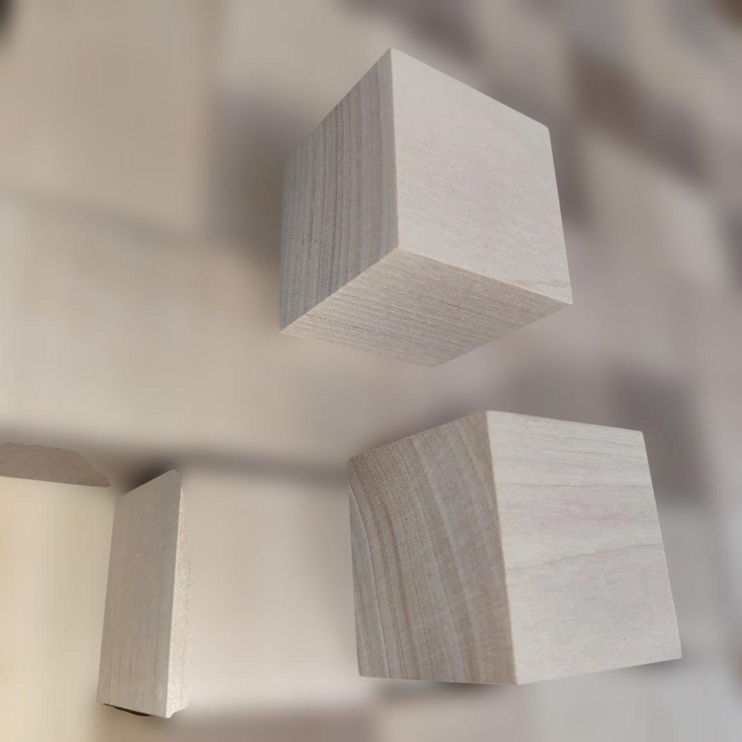 童具館　和久洋三　木製ブロック　立方体64個 WAKU-BLOCK45 HG1