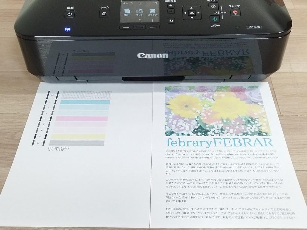 Canon MG5430　美品　印刷枚数600枚　複合機 プリンター　キャノン