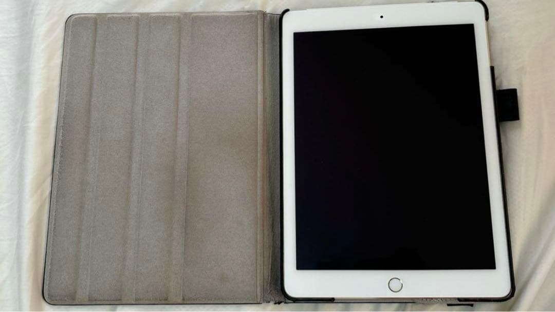 iPad本体 iPad Air 2