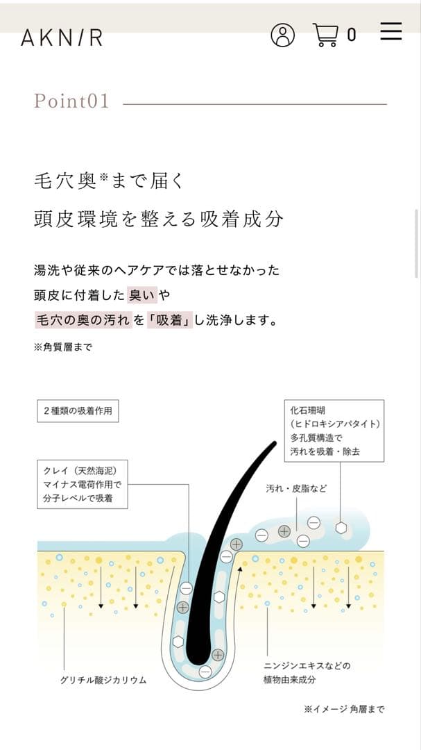 梨花プロデュース　ANK/R 薬用ヘアシャンプートリートメント詰替