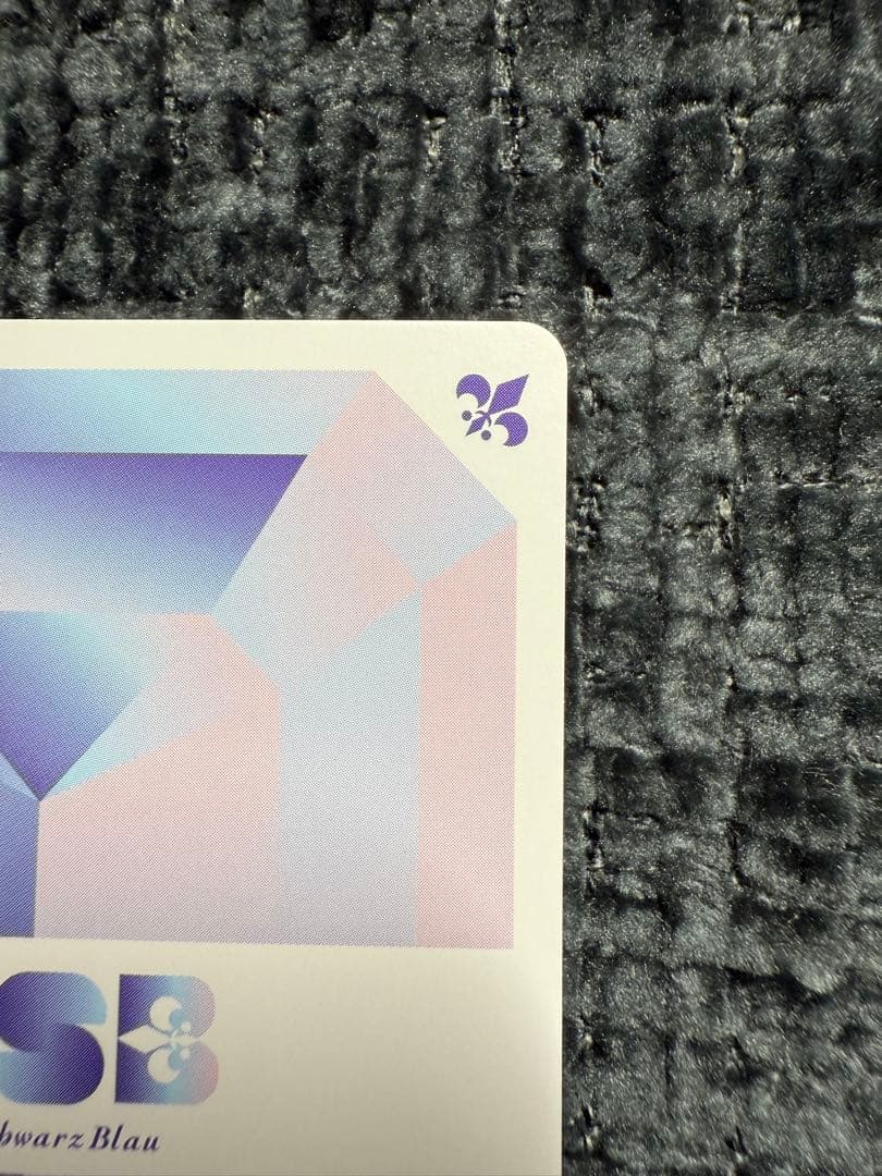 薬屋　ヴァイスシュバルツブラウ　SSP 後宮の謎に挑む　猫猫&壬氏　サイン