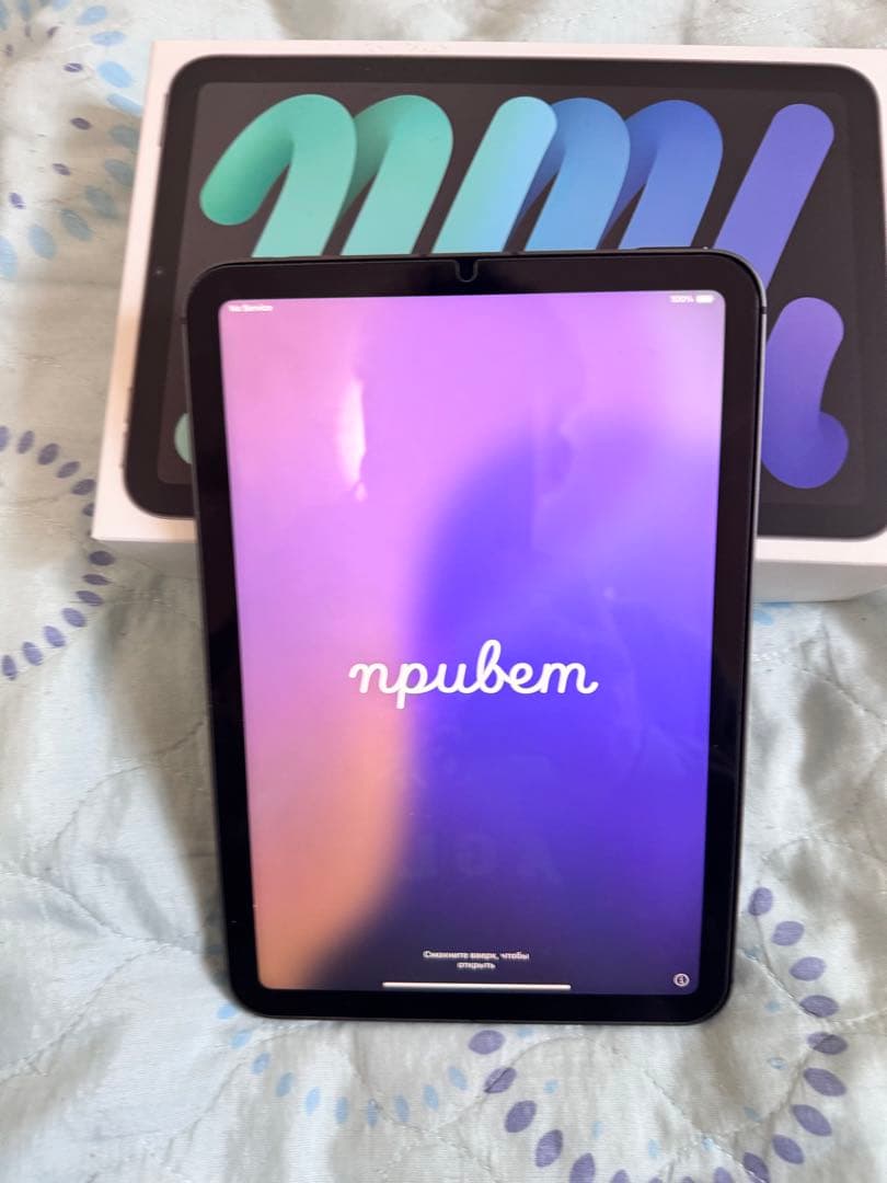 iPad mini 6 Cellular + Apple Pencil 2セット