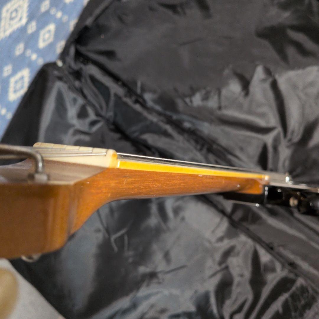 キングオブビザール！！ エレキギター☆テスコデルレイ！