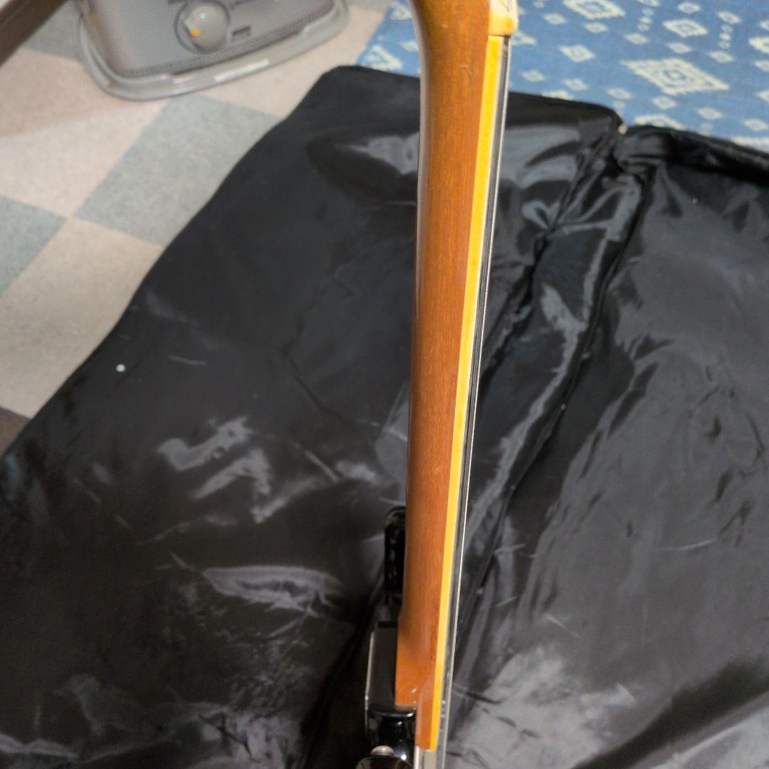 キングオブビザール！！ エレキギター☆テスコデルレイ！