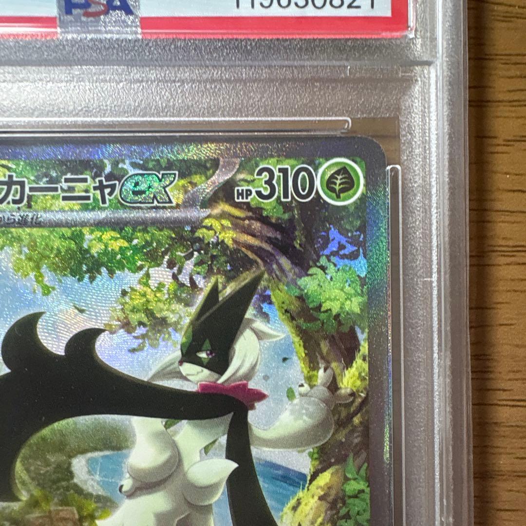 m*n様 マスカーニャex SAR SV1aトリプレットビート 096/073