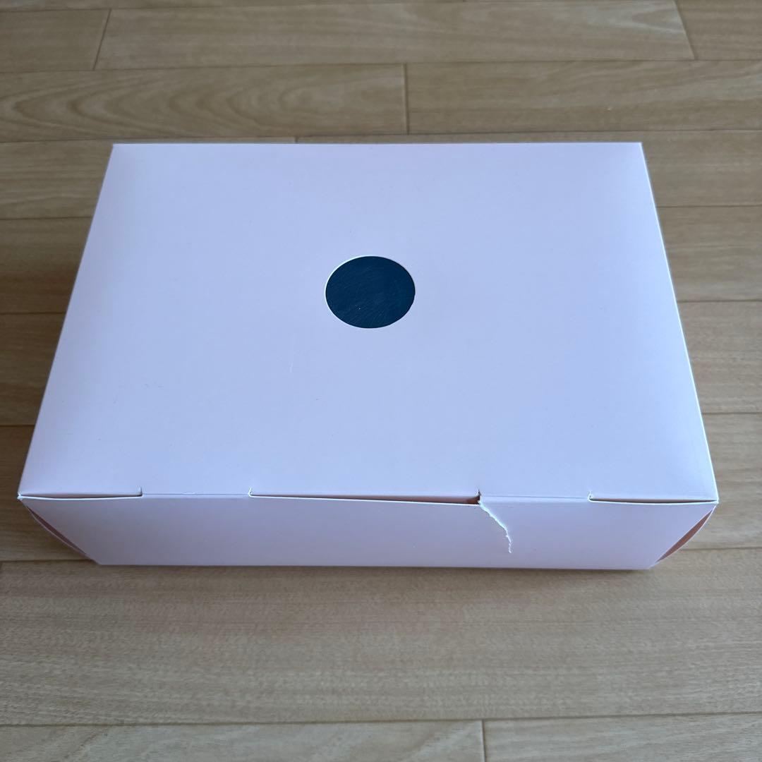 【ピンクエイジ】手植えウィッグリリカストレート