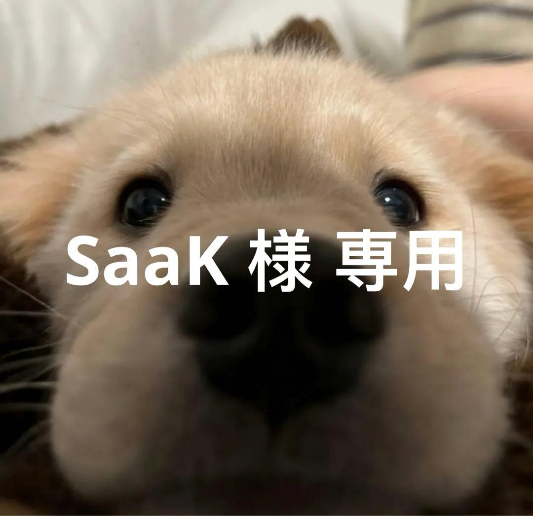 SaaK 