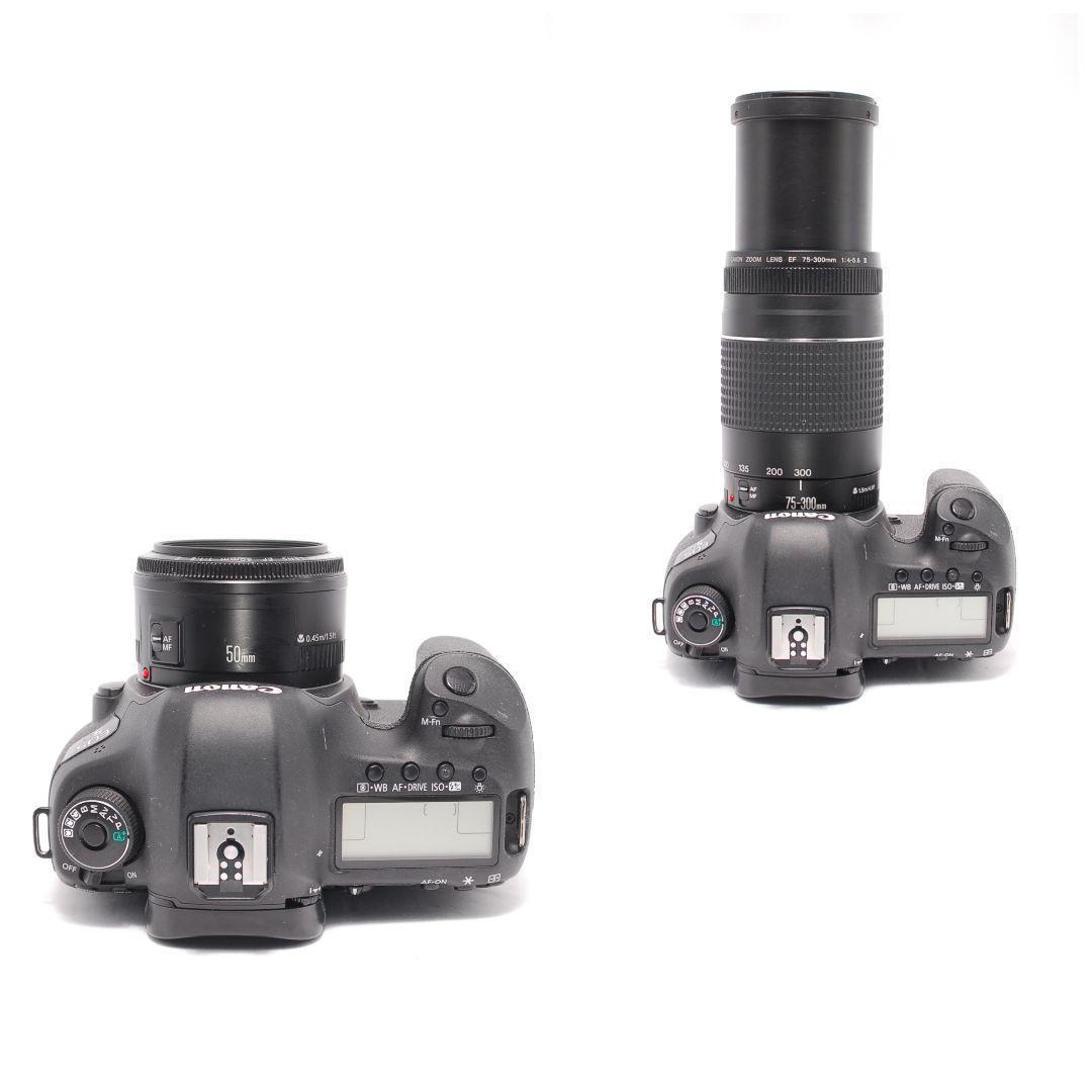 ❤即購入1000円OFF❤ キャノン 5D Mark Ⅲ 単焦点×望遠レンズ