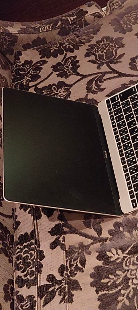 MacBook (Retina, 12-inch, Early 2016) 本体