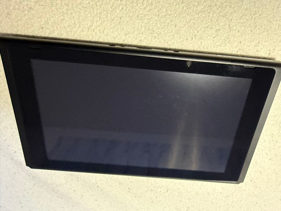 任天堂Switch あつまれどうぶつの森　ver.