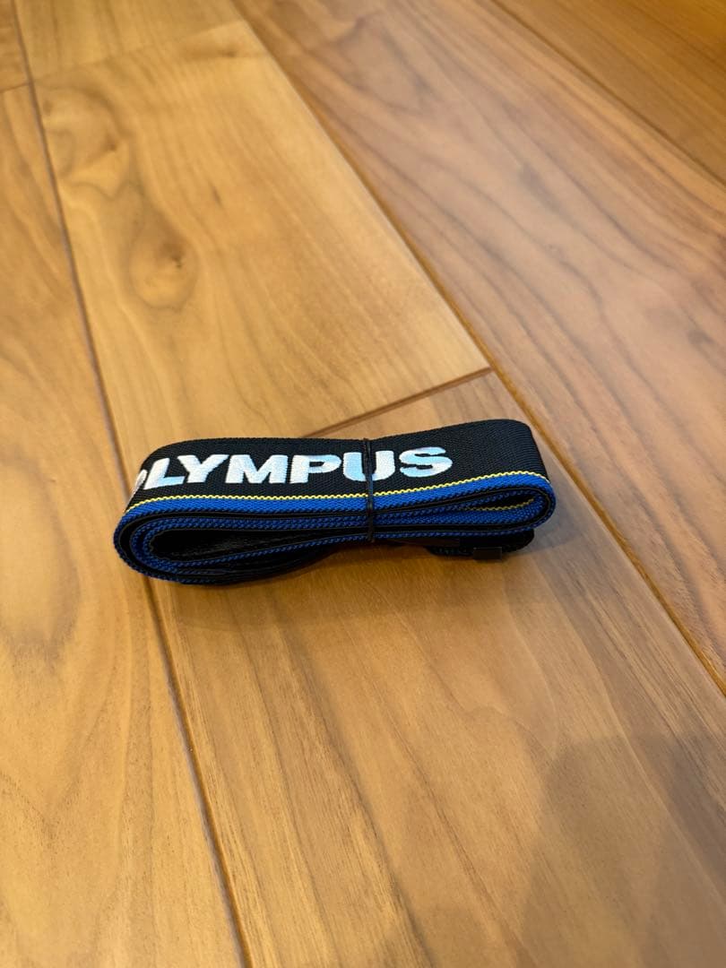 オリンパス OM-D E-M1 Mark II ボディ　美品