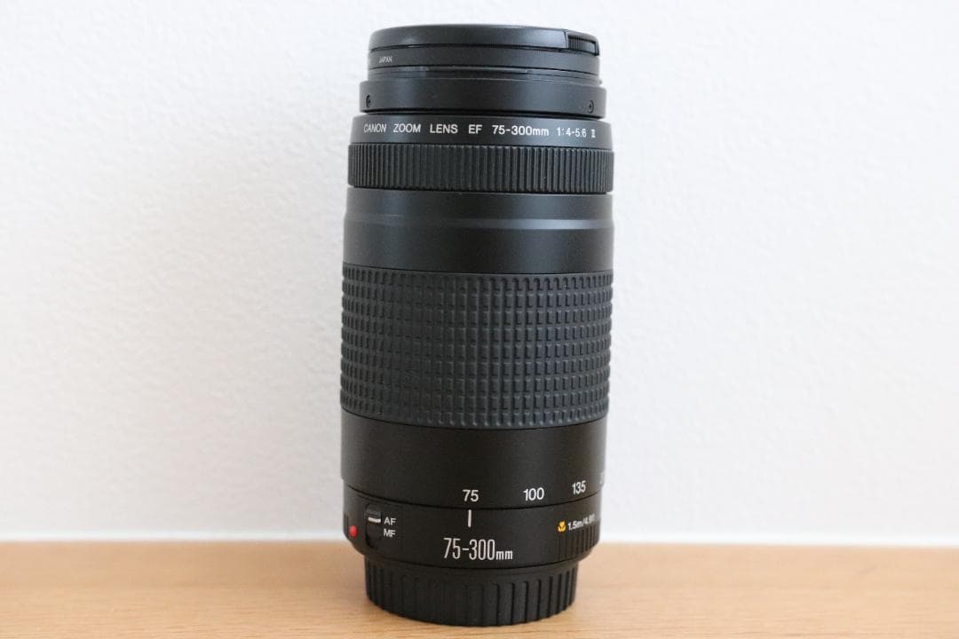 カ*ム様 Canon EF 75-300mm f/4-5.6Ⅱズームレンズ
