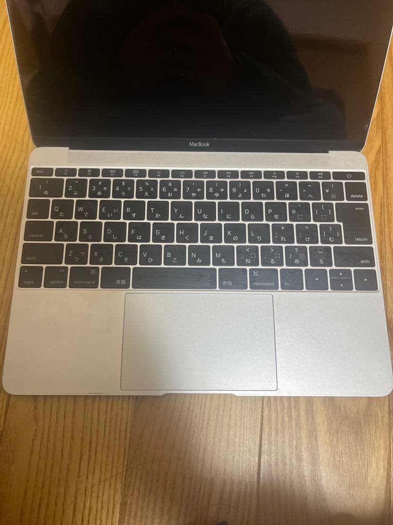 ジャンク品MacBook Retina, 12-inch, Early 2015