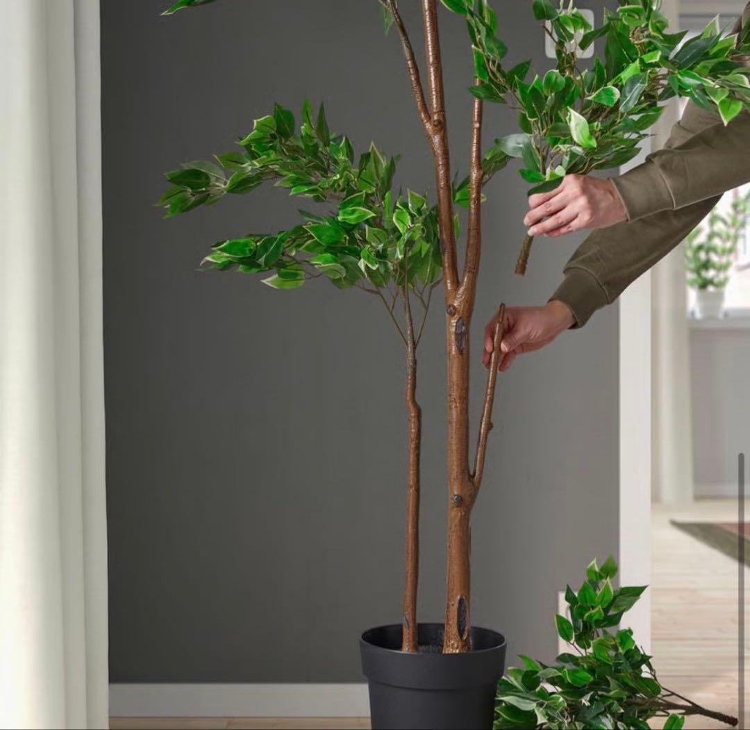 【鉢付き】FEJKA フェイカ 人工観葉植物　ベンジャミン